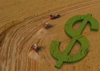 Plano Safra 2025/26 libera valor recorde, mas produtores do Tocantins enfrentam barreiras para acessar recursos