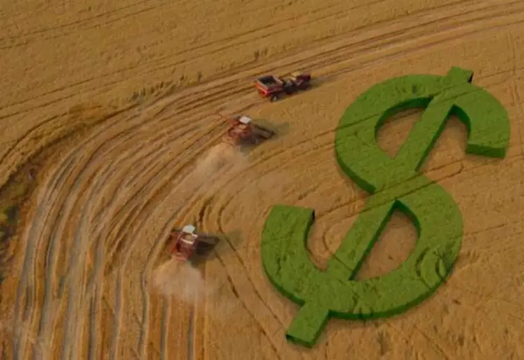 Plano Safra 2025/26 libera valor recorde, mas produtores do Tocantins enfrentam barreiras para acessar recursos