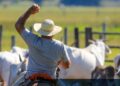 Dia do Pecuarista: setor gera milhões de empregos e movimenta R$ 900 bilhões ao ano