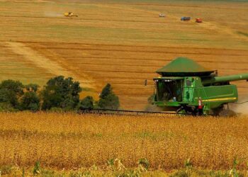 Indenização a produtores rurais poderá ocorrer sem Cadastro Ambiental Rural, decide comissão