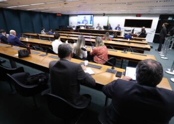 Produtores rurais e governo demonstram apoio a mudanças nos incentivos de energia para irrigação