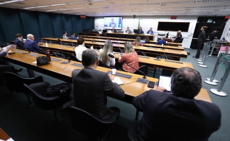 Produtores rurais e governo demonstram apoio a mudanças nos incentivos de energia para irrigação