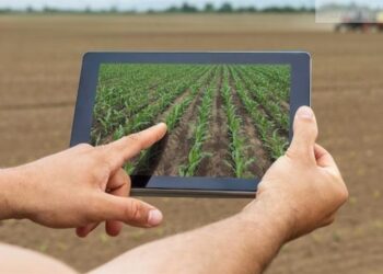 Você está planejando sua safra da forma certa? Veja o que os especialistas recomendam