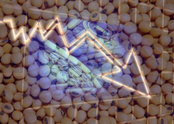 Estimativas de soja do USDA decepcionam e movimentam fechamento do mercado