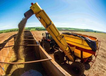 Congresso Brasileiro de Soja promove debates sobre produção, pesquisa e mercado de soja