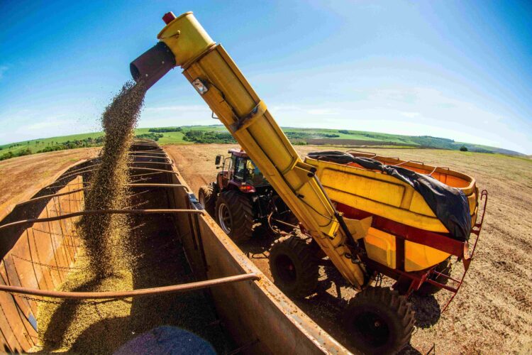 Congresso Brasileiro de Soja promove debates sobre produção, pesquisa e mercado de soja