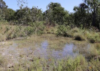 Aleto dá aval para recuperação de nascente em Formoso do Araguaia