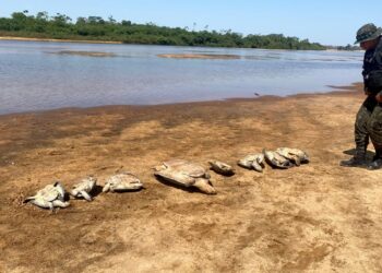 Operação Javaés 1: Parque Nacional do Araguaia é alvo de ação da PM contra caça e pesca ilegais