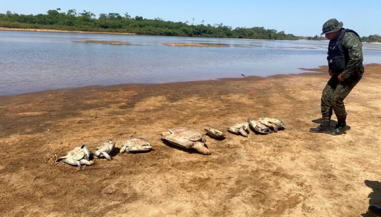Operação Javaés 1: Parque Nacional do Araguaia é alvo de ação da PM contra caça e pesca ilegais
