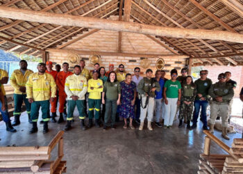Operação Capim-Dourado é lançada para proteger o Cerrado e coibir ilegalidades