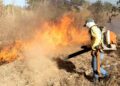 Naturatins reforça orientações para evitar incêndios florestais em áreas rurais