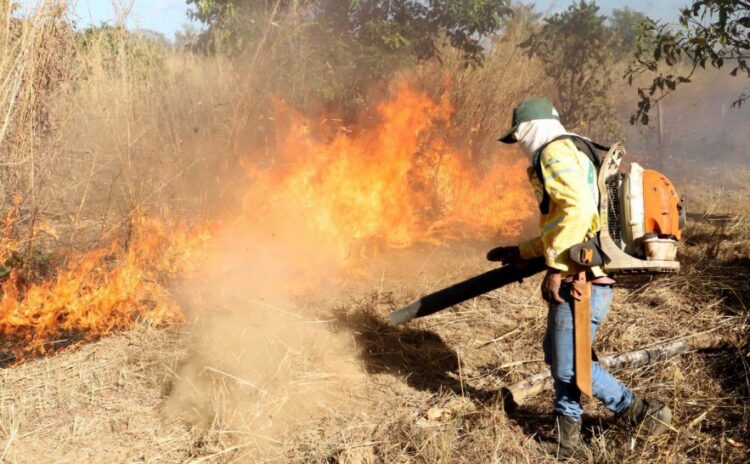 Naturatins reforça orientações para evitar incêndios florestais em áreas rurais