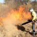Naturatins reforça orientações para evitar incêndios florestais em áreas rurais