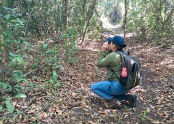 Programa Monitora é implantado no Parque Estadual do Cantão