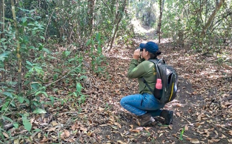 Programa Monitora é implantado no Parque Estadual do Cantão