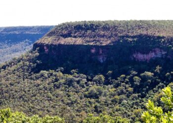 Desmatamento no Tocantins cai 19,9% entre janeiro e julho de 2025