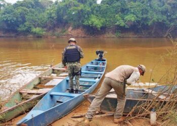 Operação em Araguacema e Lagoa da Confusão resulta no resgate de 60 tartarugas