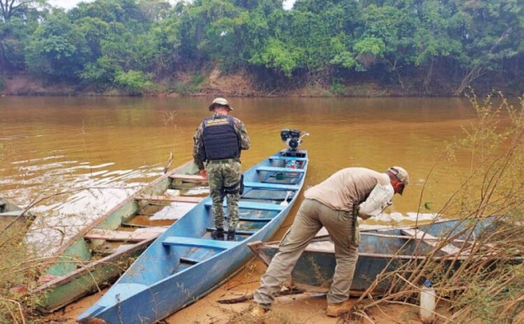 Operação em Araguacema e Lagoa da Confusão resulta no resgate de 60 tartarugas
