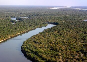 Produtores e técnicos já podem se inscrever no Seminário de Floresta Plantada no Tocantins