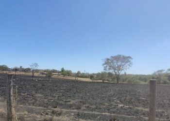 Preso em flagrante suspeito de incêndio criminoso multado em R$ 459 mil