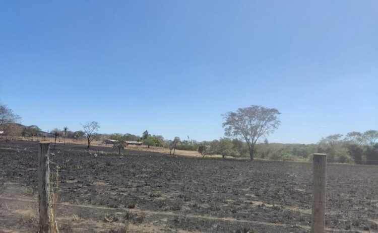 Preso em flagrante suspeito de incêndio criminoso multado em R$ 459 mil