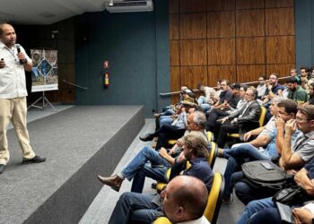 Tocantins aposta em florestas plantadas para impulsionar energia agroindustrial