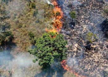 Tocantins registra queda de 28,7% na área queimada com plano de combate
