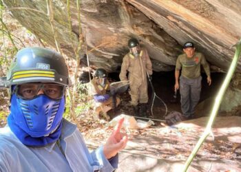 Controle da raiva dos herbívoros é reforçado pela Adapec no sudeste do Tocantins