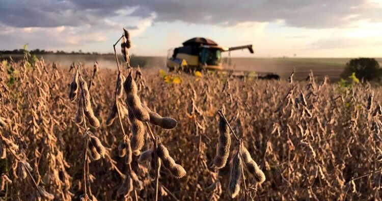 Aprosoja Tocantins alerta para safra desafiadora e reforça importância da tecnologia e do manejo eficiente