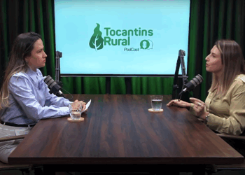 O que é cooperativismo de crédito? Quais os mitos, verdades? Diferenciais para o Plano Safra 2025.