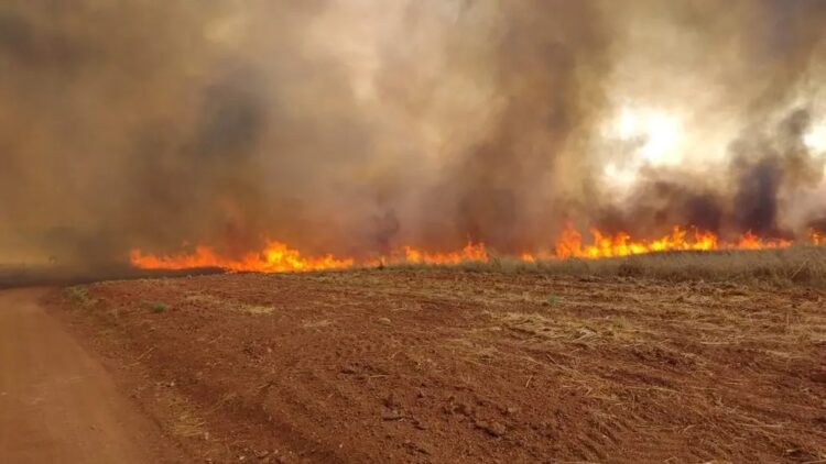 APROSOJA TOCANTINS orienta produtores sobre como agir diante de incêndios florestais