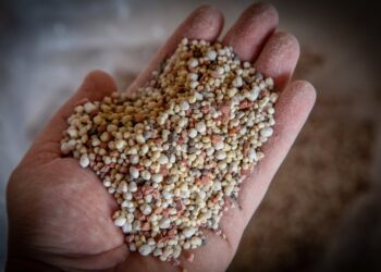 Brasil registra recorde de importação de fertilizantes em cenário de preços elevados