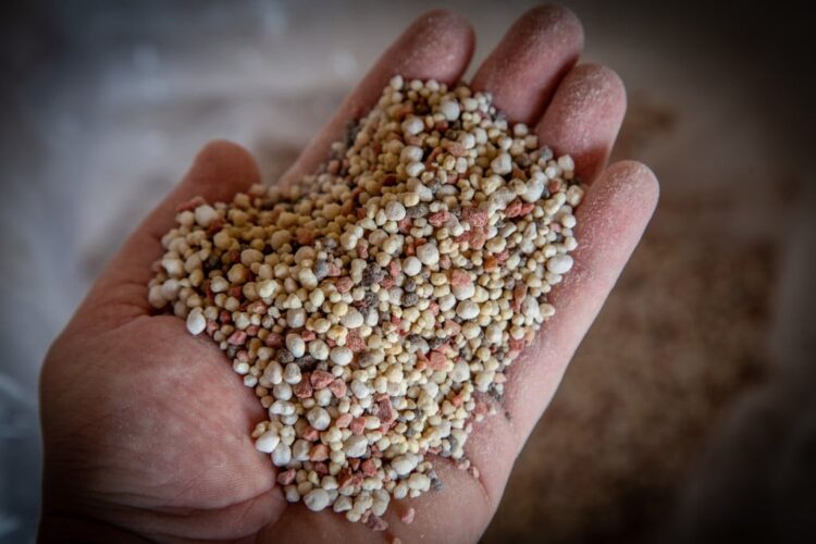 Brasil registra recorde de importação de fertilizantes em cenário de preços elevados