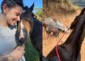 Cantora Ana Castela expõe caso de cavalo mutilado em Bananal/SP e pede justiça