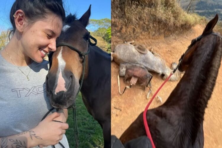 Cantora Ana Castela expõe caso de cavalo mutilado em Bananal/SP e pede justiça