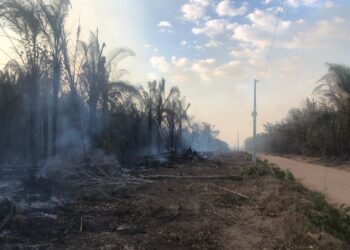 Queimadas deixaram mais de 7 mil consumidores sem energia no Tocantins até o início de agosto