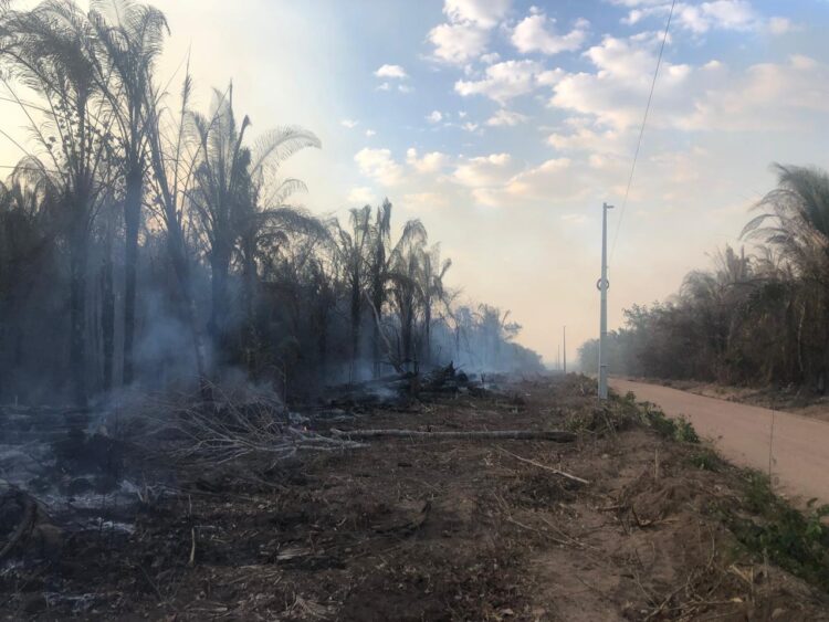 Queimadas deixaram mais de 7 mil consumidores sem energia no Tocantins até o início de agosto