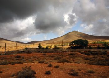 Mais segurança: produtores que vivem nas chamadas terras devolutas podem conseguir regularizá-las