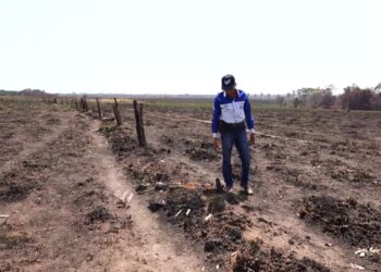 Sindicato Rural de Araguaína emite alerta sobre queimadas e disponibiliza equipamentos de combate