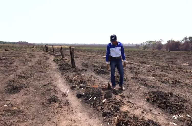 Sindicato Rural de Araguaína emite alerta sobre queimadas e disponibiliza equipamentos de combate