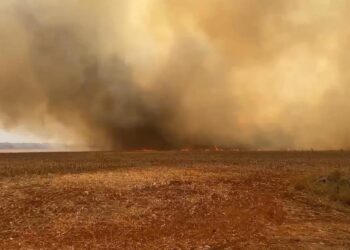 Frísia orienta cooperados no Tocantins para prevenir queimadas e preservar a produção