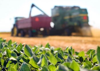 Brasil ganha força no cenário agropecuário mundial, afirma secretário do Mapa