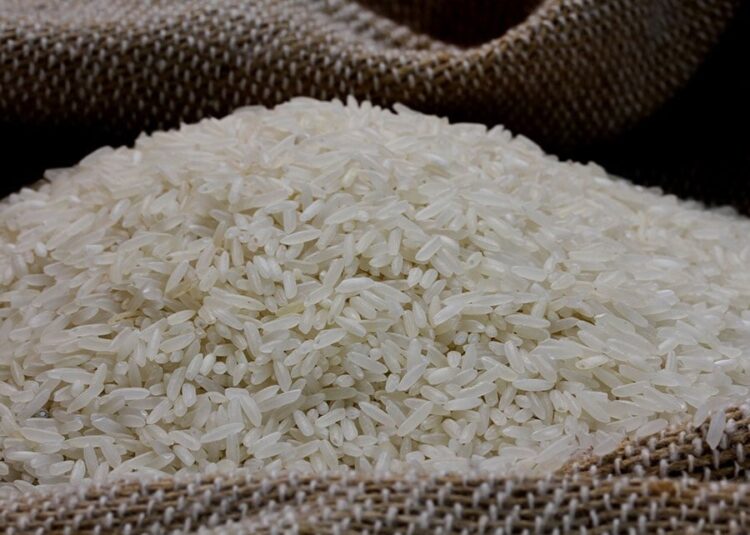 Primeiros leilões de opção de arroz da Conab começam nesta semana