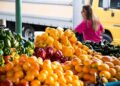 Programa de microcrédito, AgroAmigo, chega ao Norte com R$ 500 milhões para apoiar agricultura familiar