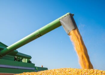 Colheita atinge 94,8% e Zarc da safra 25/26 é divulgado