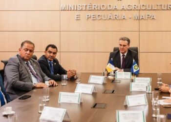 Tocantins articula com Ministério da Agricultura abertura de novos destinos para produtos do agro