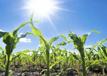 Inmet prevê agosto com calor intenso, geadas e riscos para a produção agrícola