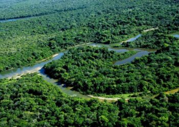 Ilha do Bananal tem fiscalização reforçada contra febre aftosa e influenza aviária