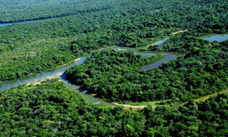 Ilha do Bananal tem fiscalização reforçada contra febre aftosa e influenza aviária