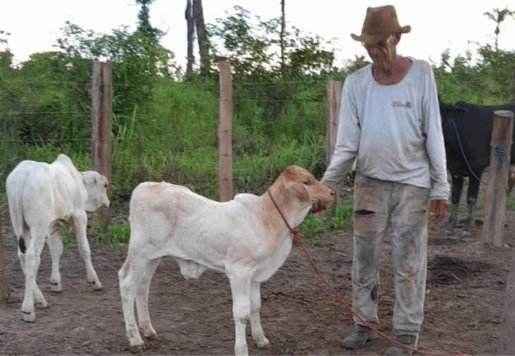 Desaparecido há um ano enquanto cuidava do gado, idoso segue sem pistas e família pede investigação